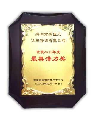 深巨元榮獲中國農(nóng)業(yè)銀行信用卡中心2019年度&ldquo;最具潛力獎&rdquo;