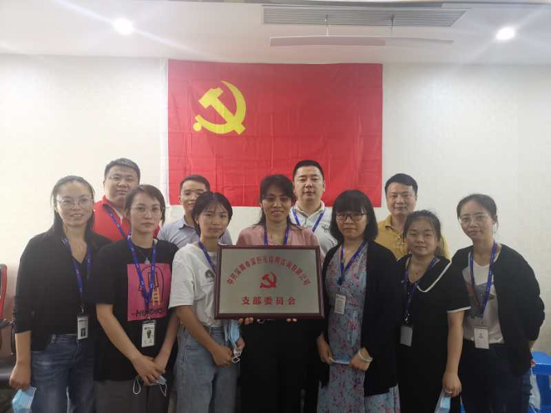 中共深圳市深巨元信用咨詢有限公司支部委員會(huì)成立暨選舉大會(huì)順利召開！